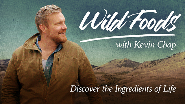 Check for Wild Foods airing on a public television station near you!!